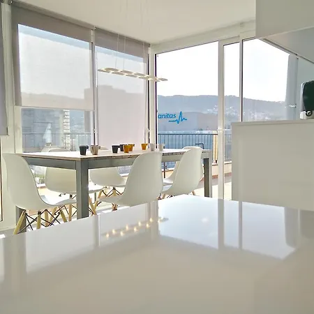 Ferran Pedralbes Penthouse Barcelona